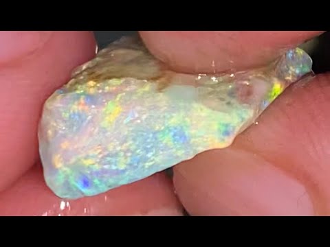 Opal, all for the love of it.